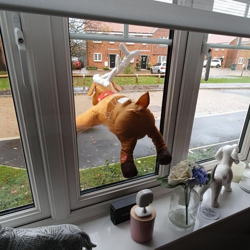 Mikołaj & Renifer Dekoracja 🎅🦌